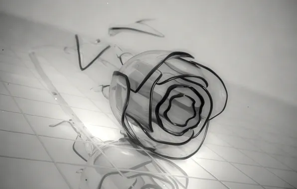 Картинка цветок, стекло, серый, роза