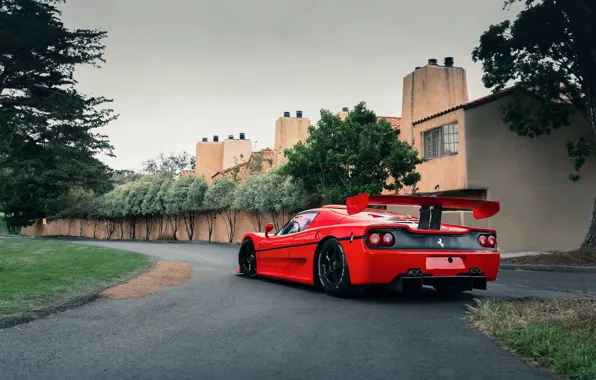 Картинка Red, Rear view, F50 GT