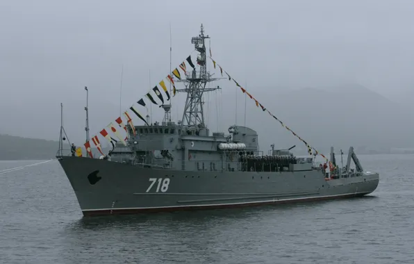 Морской, тральщик, МТ-265, проект 266мэ