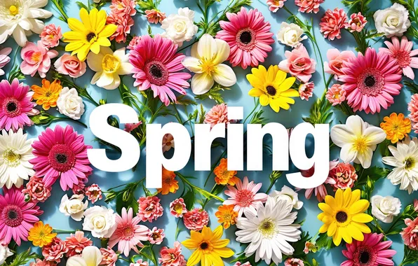 Картинка цветы, весна, colorful, flowers, spring