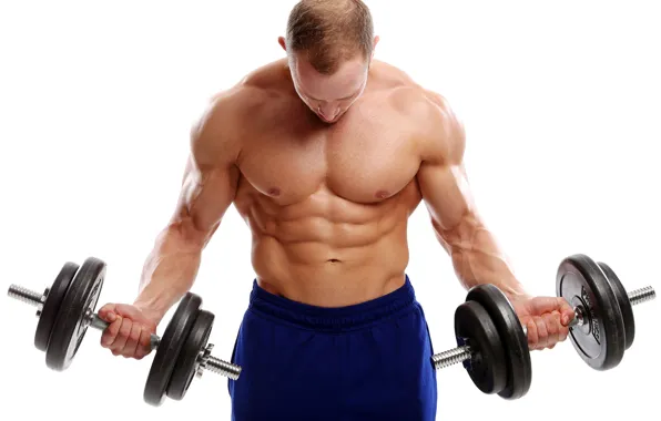 Muscle, мышцы, пресс, pose, гантели, gym, бодибилдер, abs