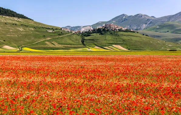 Картинка поле, цветы, горы, маки, дома, луг, Италия, поселок