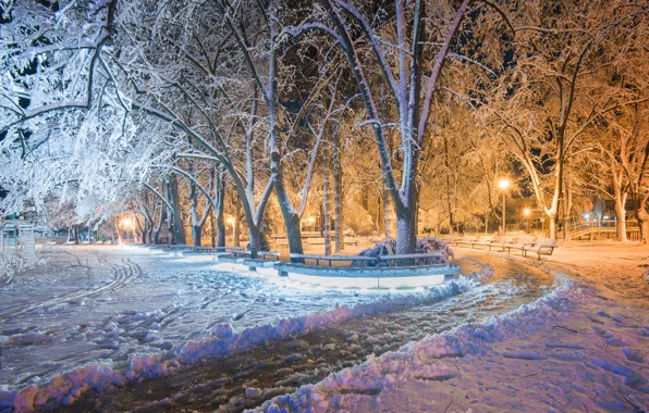 Зима, парк, Болгария, Kazanlak