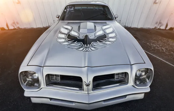 Pontiac, Firebird, Trans Am, 1973