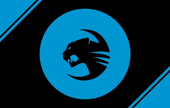 Картинка logo, blue, roccat team