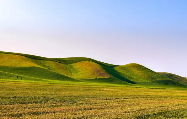 Картинка landscape, nature, hill, sunlight, bive