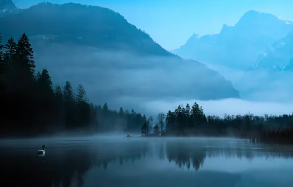 Картинка лес, деревья, горы, туман, озеро, Austria, Philipp Fuchsluger