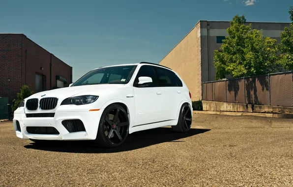 Картинка белый, bmw, бмв, white, вид спереди, кроссовер, e70, x5m