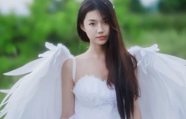 Beautiful, Asian, Model, Angel, Woman, Cute, Pretty, Wings