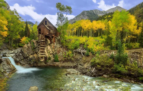 Осень, деревья, река, ручей, водопад, Колорадо, мельница, Crystal Mill