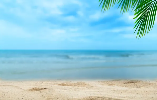 Картинка песок, море, пляж, лето, небо, солнце, пальмы, берег
