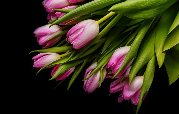 Цветы, букет, тюльпаны, розовые, fresh, pink, flowers, beautiful