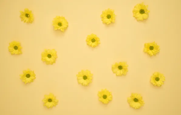 Картинка цветы, желтый, фон, бутоны, yellow, flowers, decoration