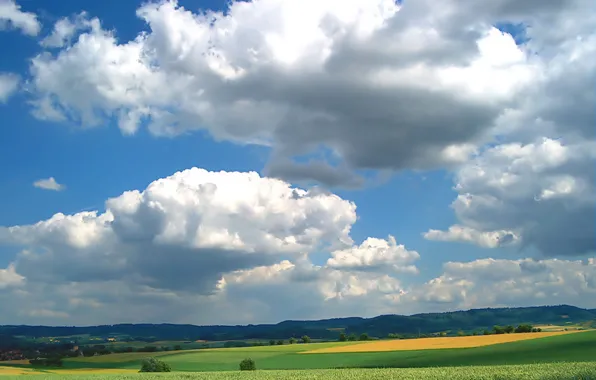 Зелень, Облака, Поле