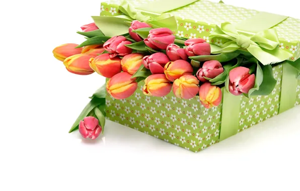 Картинка коробка, подарок, букет, тюльпаны, бантик