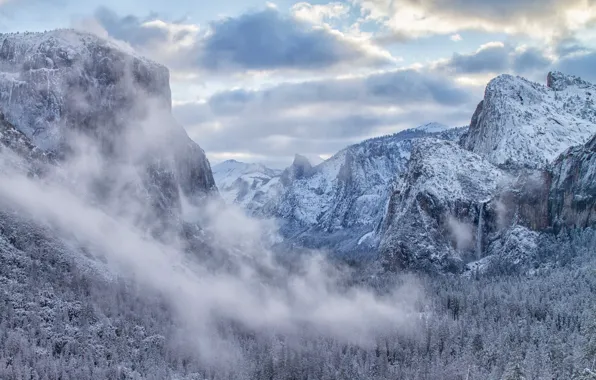Картинка зима, лес, горы, долина, Калифорния, California, Yosemite Valley, Национальный парк Йосемити
