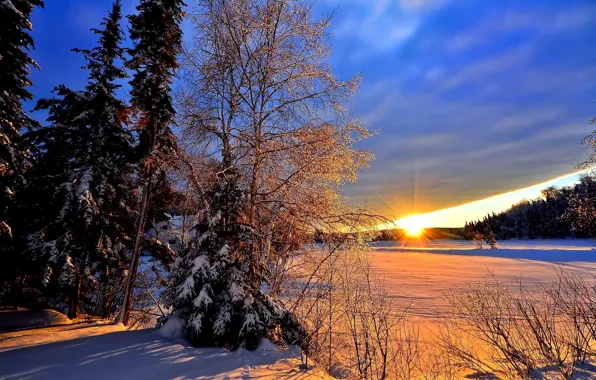 Зима, лес, солнце, лучи, снег, деревья, пейзаж, закат