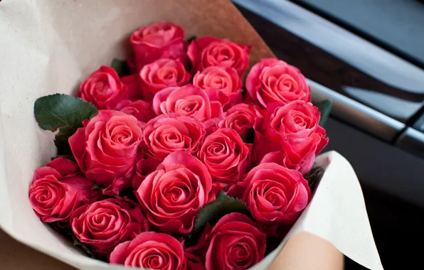 Розы, букет, красные, red, flower, roses, bouguet, Abelena
