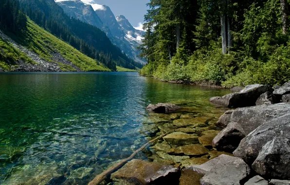 Вода, деревья, горы, природа, горная река