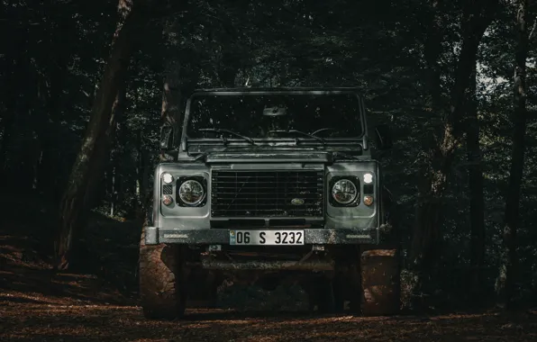 Land Rover, Wood, Defender, Trees, Offroad, Tolga Ahmetler