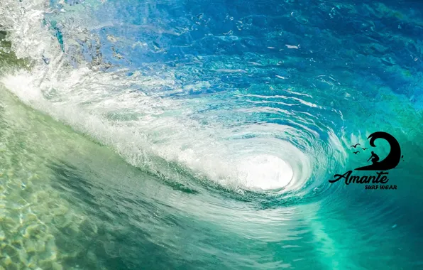 Logo, Surf, amante, tubo