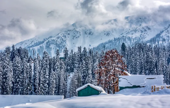 Картинка зима, лес, снег, горы, фото, крыши