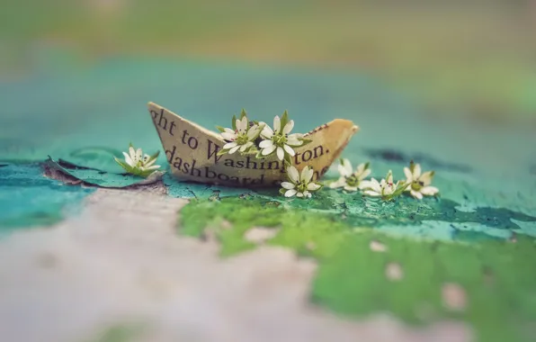Цветы, мир, кораблик
