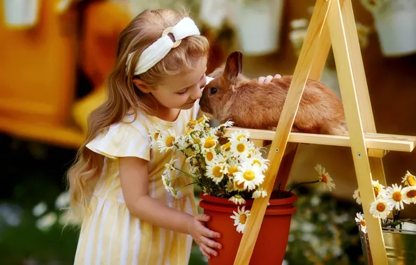 Картинка цветы, настроение, ромашки, кролик, девочка, Любовь Пятовская