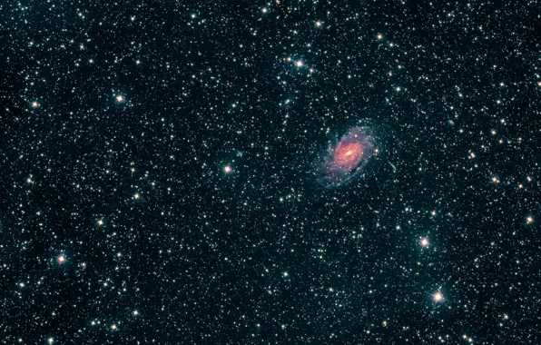Галактика, Павлин, в созвездии, NGC6744