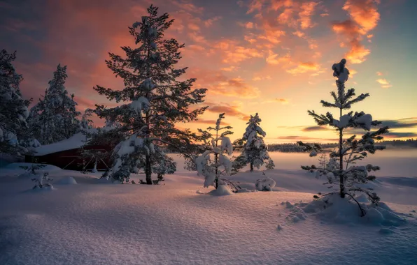 Норвегия, Norway, Ringerike