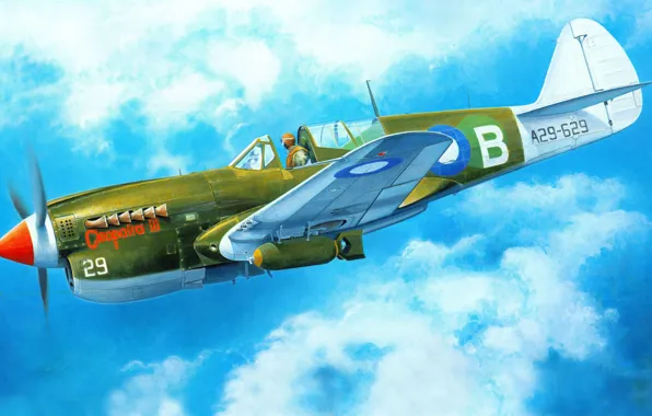 Картинка самолет, истребитель, арт, американский, Curtiss, Tomahawk, P-40, Warhawk