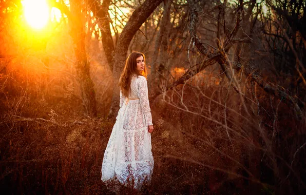 Картинка лес, девушка, солнце, платье