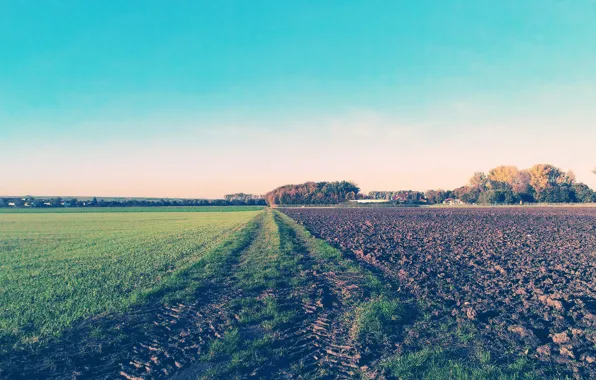 Landscape, Germany, Deutschland, кпасиво, Worms, Osthofen