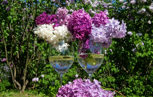 Весна, бокалы, сирень, lilac, stemware