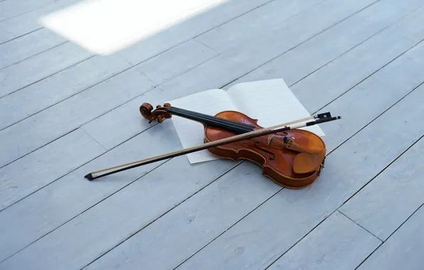 Скрипка, смычок, violin, string musical instrument, струнный музыкальный инструмент, bow