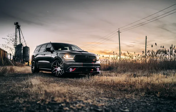 Dodge, Dodge Durango, Field