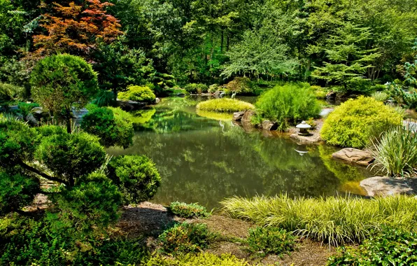 Природа, пруд, фото, сад, США, кусты, Gibbs Gardens Ball Ground