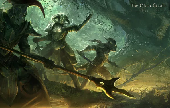 Картинка лес, оружие, войны, арт, копье, броня, The Elder Scrolls Online