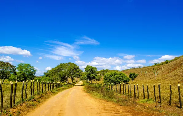 Картинка дорога, небо, облака, забор, поля, Бразилия, сельская местность, фермы