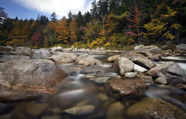 Картинка осень, пейзаж, река, камни