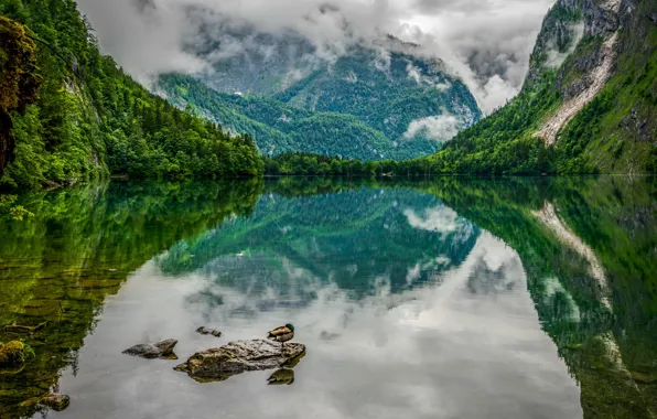 Горы, озеро, камни, птица, берег, утка