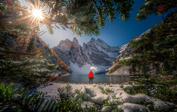 Картинка снег, горы, ветки, озеро, человек, Канада, Альберта, Banff National Park