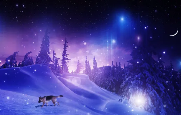 Картинка зима, лес, звезды, снег, деревья, снежинки, ночь, фотошоп