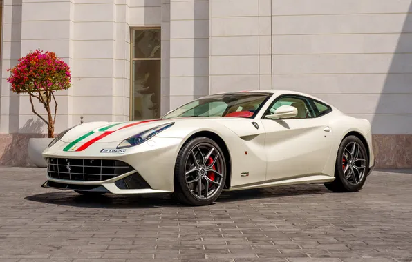 Ferrari, суперкар, supercar, Tricolore, 2014, Tailor Made, Ferrari F12berlinetta