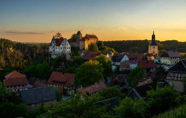 Лес, небо, солнце, деревья, дома, городок, Germany, Hohnstein