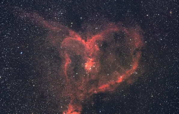 Космос, звезды, IC 1805, The Heart Nebula