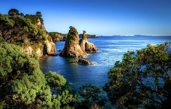 Картинка море, небо, солнце, деревья, камни, скалы, побережье, Новая Зеландия