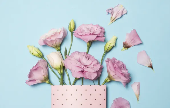 Картинка цветы, розовые, pink, flowers, эустома, eustoma
