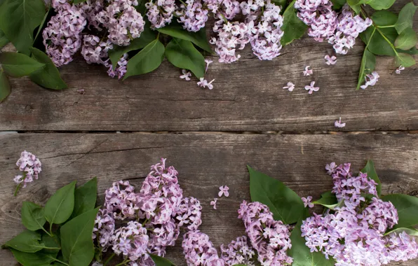 Цветы, wood, flowers, сирень, lilac