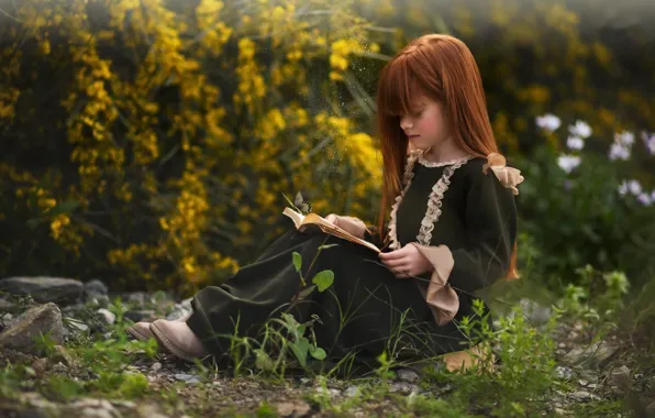 Бабочка, девочка, книга